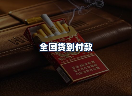 专业团队办公环境